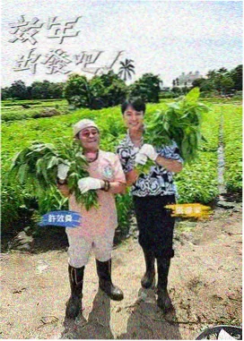 看吧影视极限挑战-真人秀